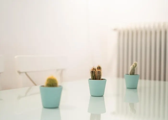 Appartement Ikos Spacious