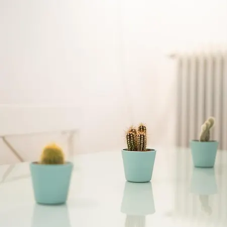 Apartment Ikos Spacious